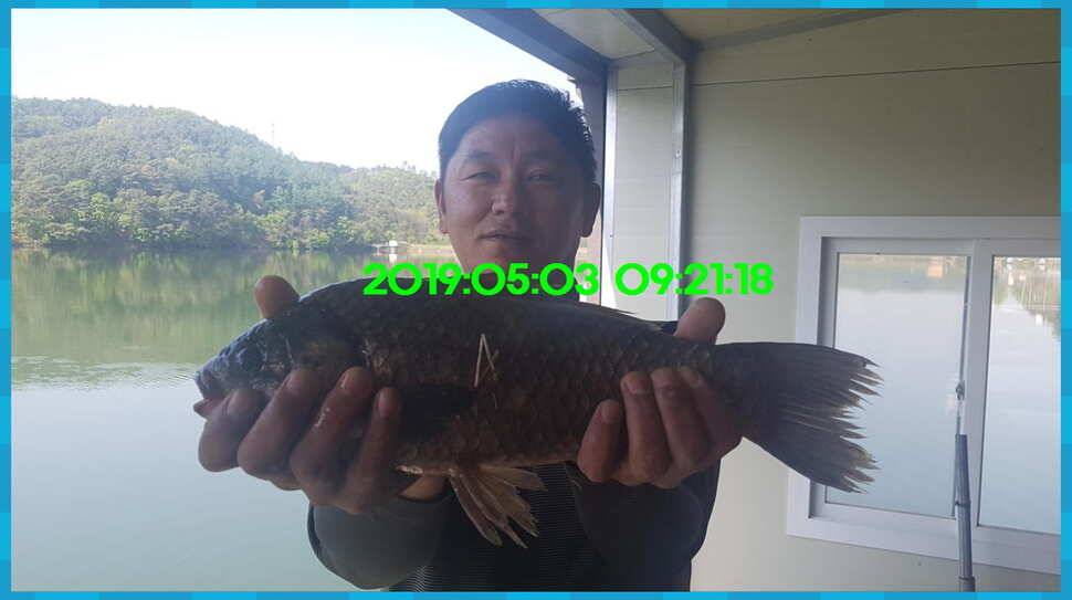 신원낚시터 토종대물 4짜가 풍년입니다풍년 (유료터정보 - 유료터점주조황)