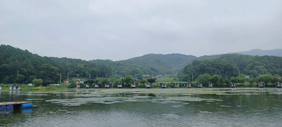 어우실지 입질이좋아요 (유료터정보 - 유료터점주조황)