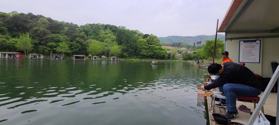 4월넷째주 힐링 수곡낚시터 화수요일 주중반 조황 금일 붕어방류 (유료터정보 - 유료터점주조황)