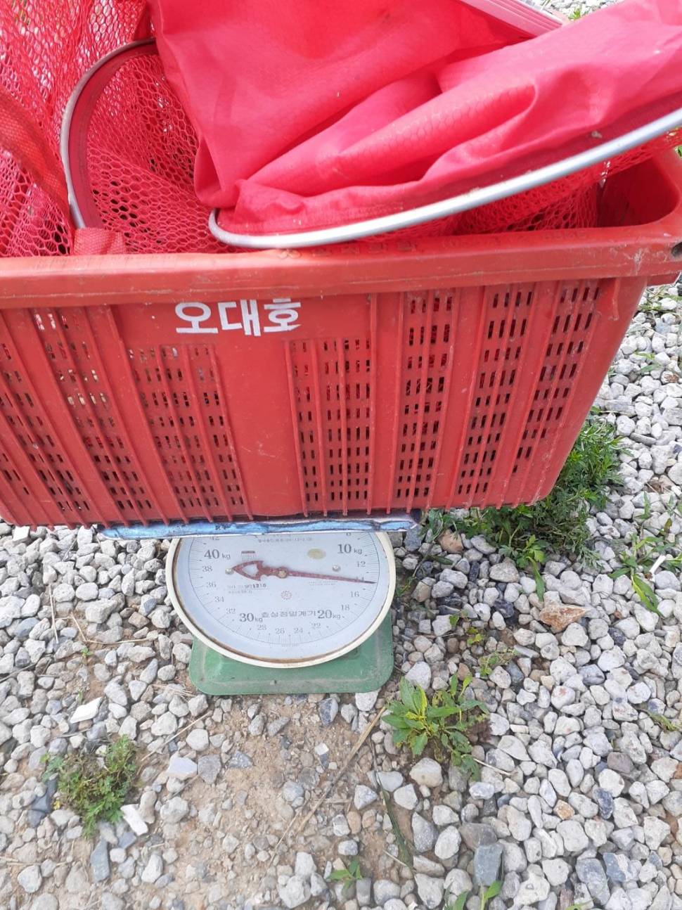 경주 동산낚시터붕어 전용잡이터 지난주 조황 (유료터정보 - 유료터점주조황)