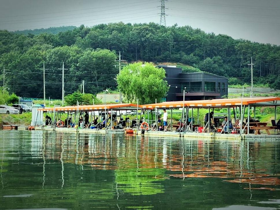 반제낚시터 많은님들 찾아주셨네요 (유료터정보 - 유료터점주조황)