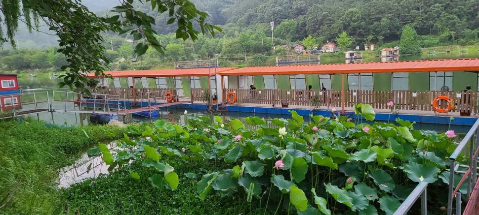 양평 힐링 수곡낚시터 호조황과 편차가 있었습니다 (유료터정보 - 유료터점주조황)