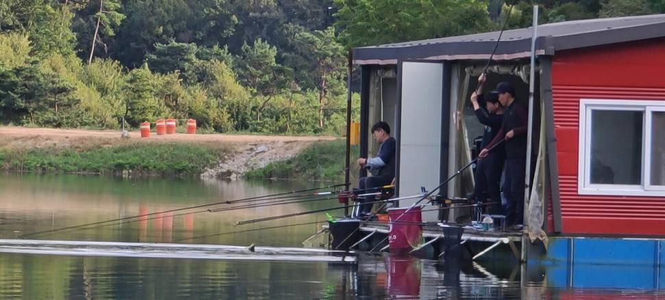 양평 힐링 수곡낚시터 화수요일 주중 조황 및 붕어 방류 (유료터정보 - 유료터점주조황)