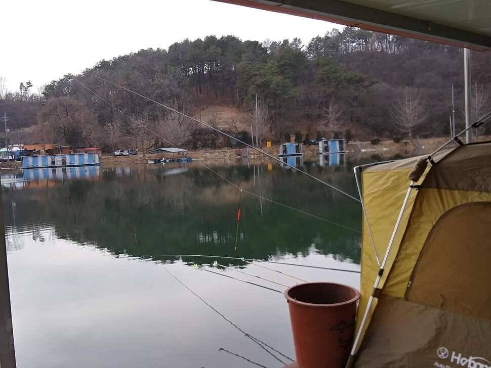 양평 힐링 수곡낚시터 연휴 조황 및 붕어 방류 안내 (유료터정보 - 유료터점주조황)