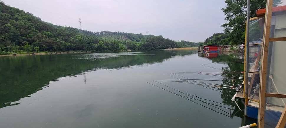 붕어낚시 양평 수곡낚시터 5월마지막주 주초 조황 안내드립니다 (유료터정보 - 유료터점주조황)