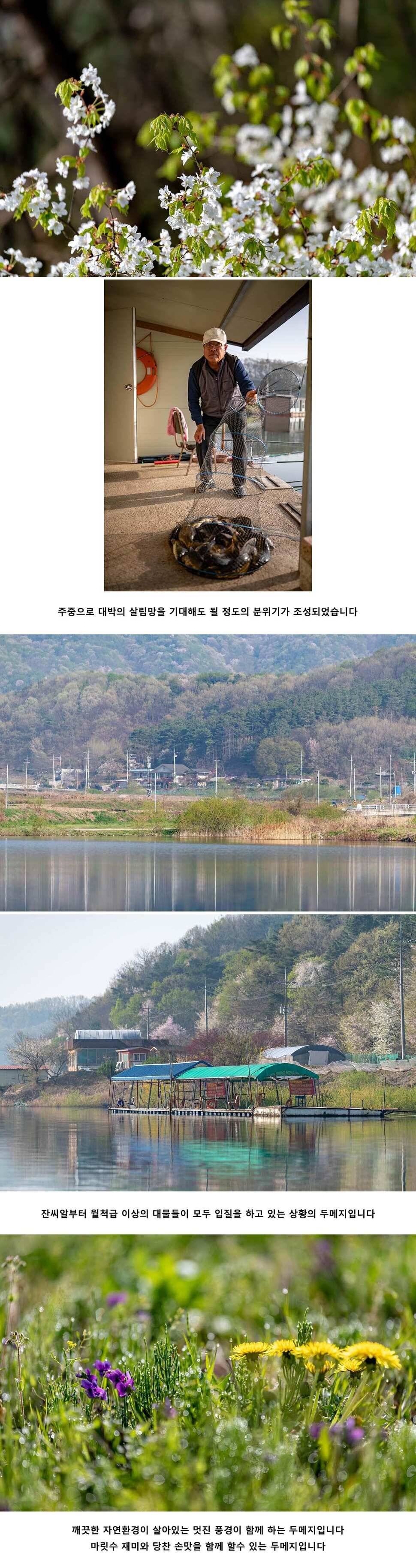 안성 두메낚시터 4월 22일 조황정보 (유료터정보 - 유료터점주조황)