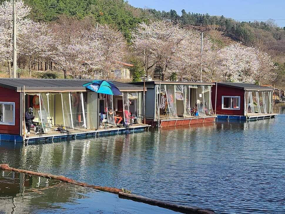 양평 수곡낚시터 4월 첫주 주말조황 및 수상좌대 할인요금 붕어방류 안내 (유료터정보 - 유료터점주조황)