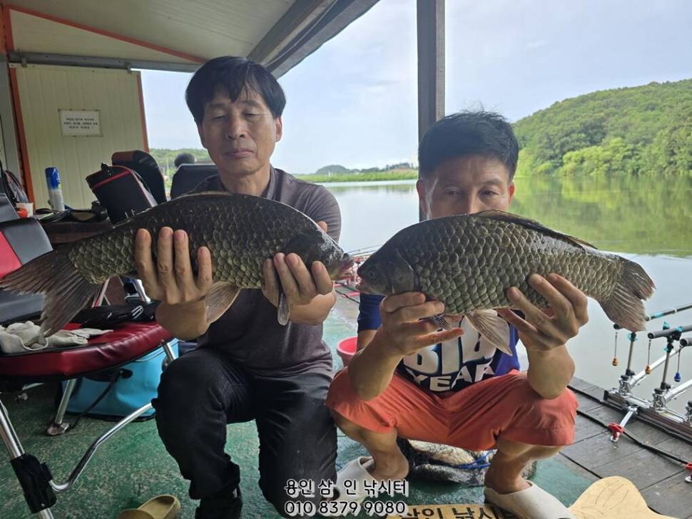 가깝고 시원한 곳에서 시원한 손맛 즐기세요용인삼인낚시터 (유료터정보 - 유료터점주조황)