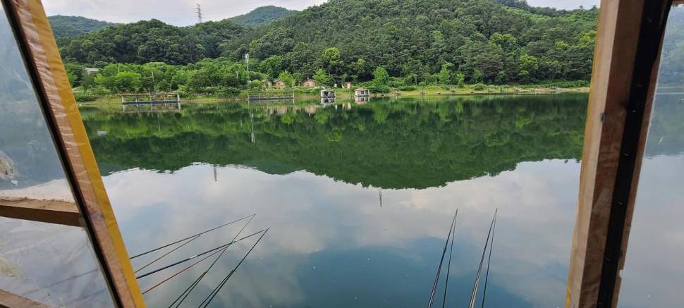 휴가철 여름피서 수곡낚시터 월요일 76조황 및 붕어방류 안내 (유료터정보 - 유료터점주조황)