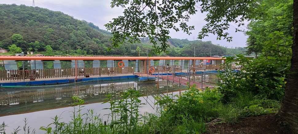 수곡지 양평 수곡낚시터 5월네째주 주말 조황 입질시간대 파악이 중요한듯합니다 (유료터정보 - 유료터점주조황)