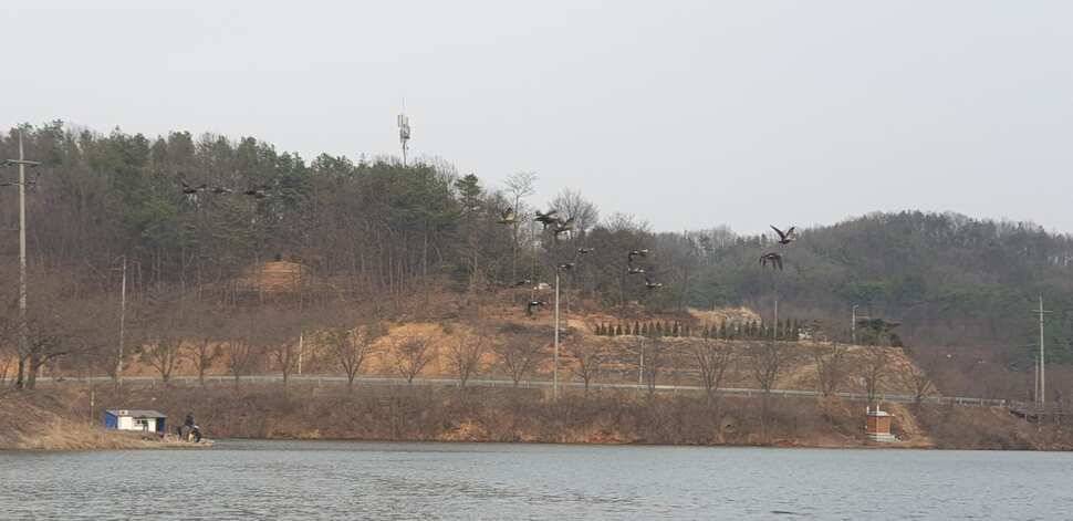 공주 고성낚시터 입니다 (유료터정보 - 유료터점주조황)