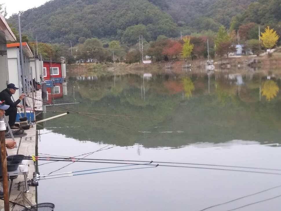 수곡낚시터 어제부터 낮시간에도 붕어들이 나와주네요 오늘 붕어방류 완료하였습니다 (유료터정보 - 유료터점주조황)
