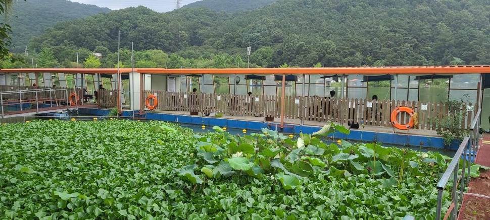 피서 여름낚시 양평 수곡낚시터 주말 조황 소식 (유료터정보 - 유료터점주조황)