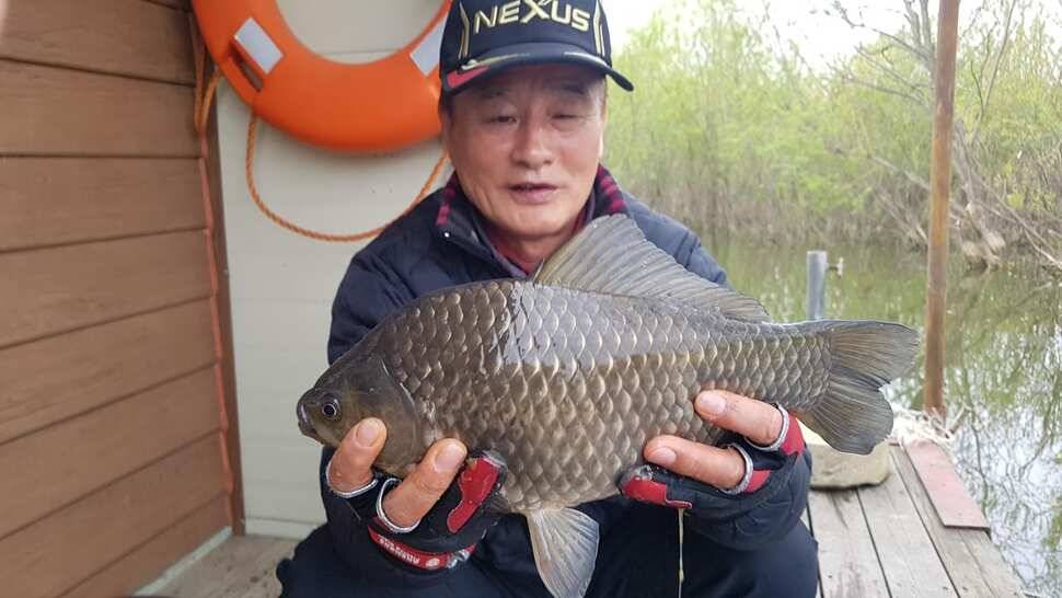 나에게 봄날이 온다 김사장님 축하드립니다 (유료터정보 - 유료터점주조황)