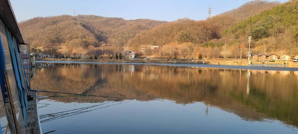 양평 수곡낚시터 붕어조과 좀더늘었네요 오늘 붕어방류 설연휴 추가방류 합니다 (유료터정보 - 유료터점주조황)