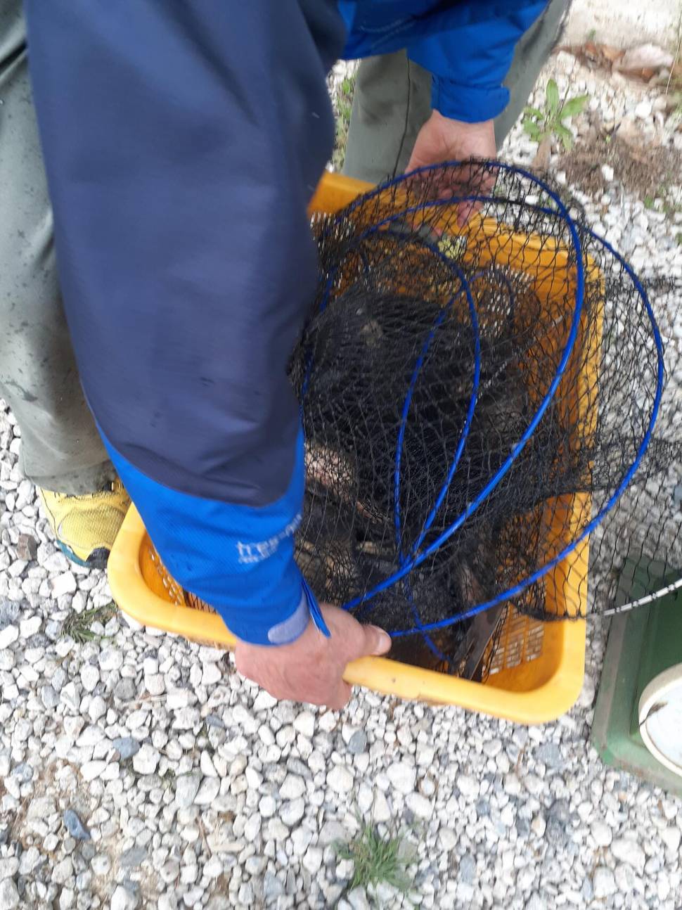 경주 동산낚시터붕어 전용잡이터지난주 조황 (유료터정보 - 유료터점주조황)