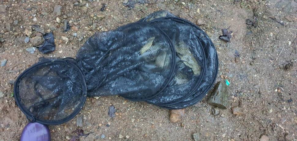 공주 고성낚시터 입니다 (유료터정보 - 유료터점주조황)