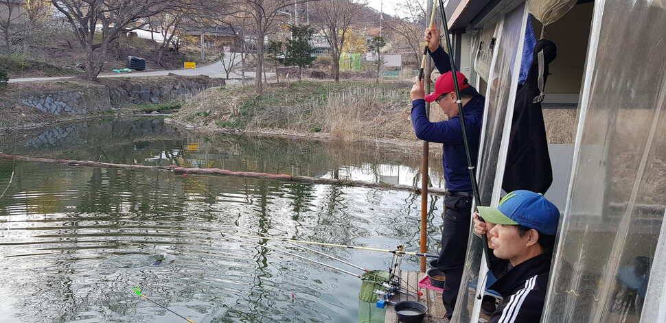 힐링 양평 수곡낚시터 4짜 대물붕어주중조황 및 붕어방류수상좌대 할인요금 안내 (유료터정보 - 유료터점주조황)