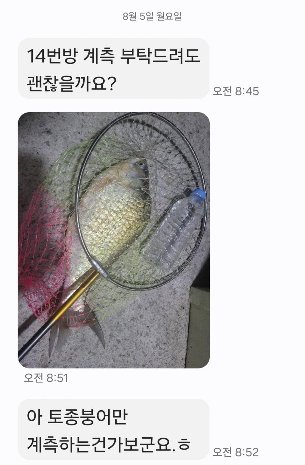 2024년 8월 둘째주 조황정보 용담낚시터사암지4짜 3마리 (유료터정보 - 유료터점주조황)