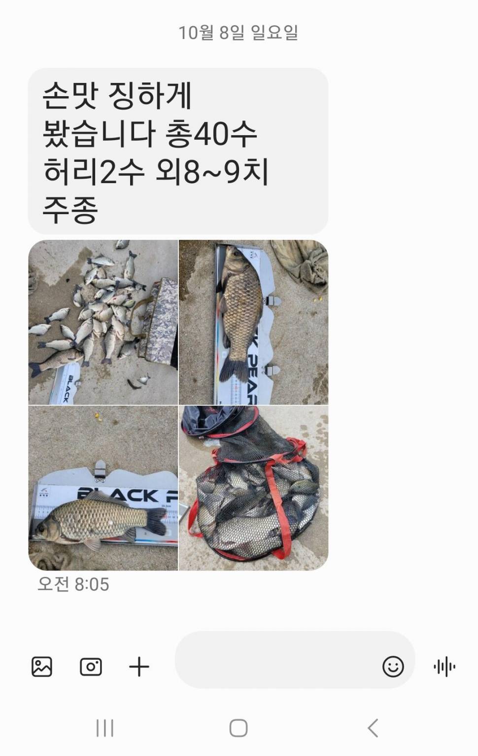 2023년 10월 둘째주 조황정보 용담낚시터사암지 (유료터정보 - 유료터점주조황)