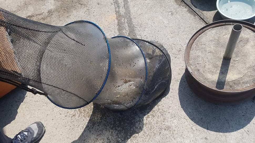 수요일 전좌대만석 입니다 넘잘나오네요 불빛도 업구 넘조용하고 분위기 최고 랍니다 (유료터정보 - 유료터점주조황)