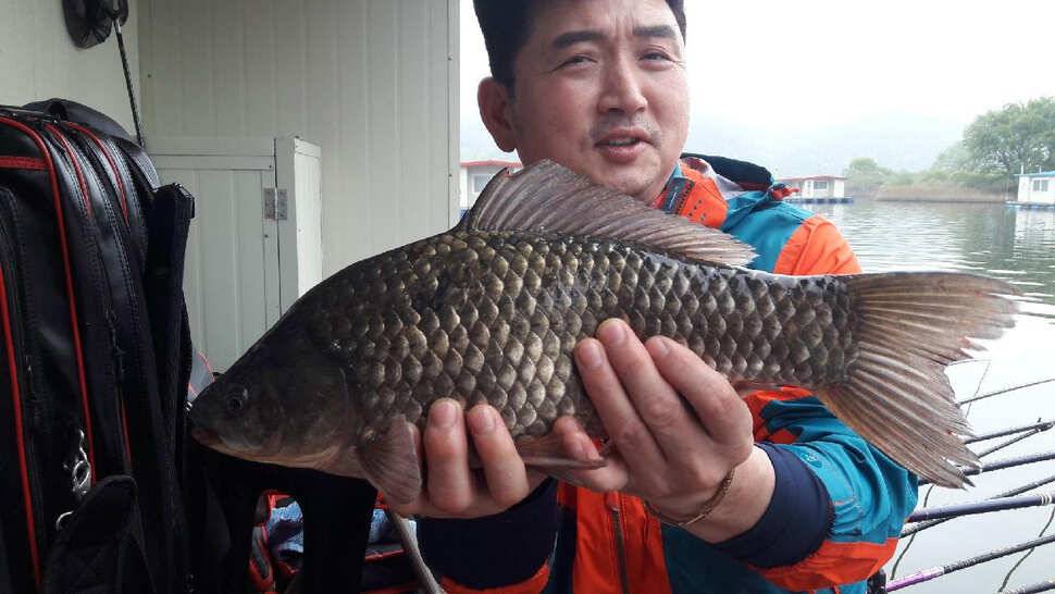 송전지 창신좌대 조황 (유료터정보 - 유료터점주조황)