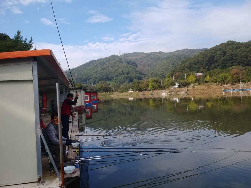 힐링 수곡낚시터 어제도 많은 붕어들이 나와주었습니다 내일도 붕어방류 합니다 (유료터정보 - 유료터점주조황)