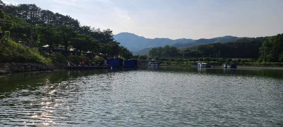 공주 고성낚시터 입니다 (유료터정보 - 유료터점주조황)