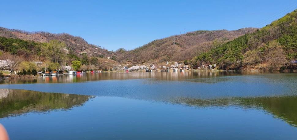 4월 둘째주말 양평 힐링 수곡낚시터 조황 및 붕어 방류 (유료터정보 - 유료터점주조황)