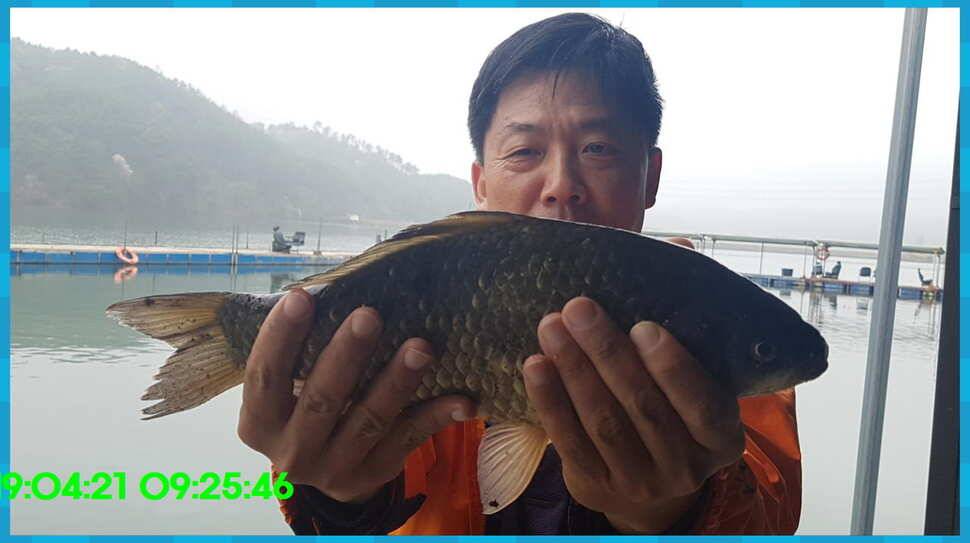 신원낚시터 올해 첫 토종대물 45짜리 소식입니다 (유료터정보 - 유료터점주조황)