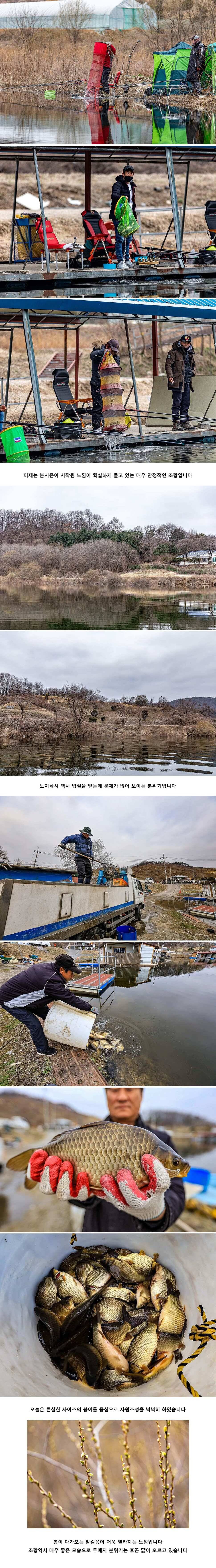 안성 두메낚시터 3월 21일 조황정보 (유료터정보 - 유료터점주조황)