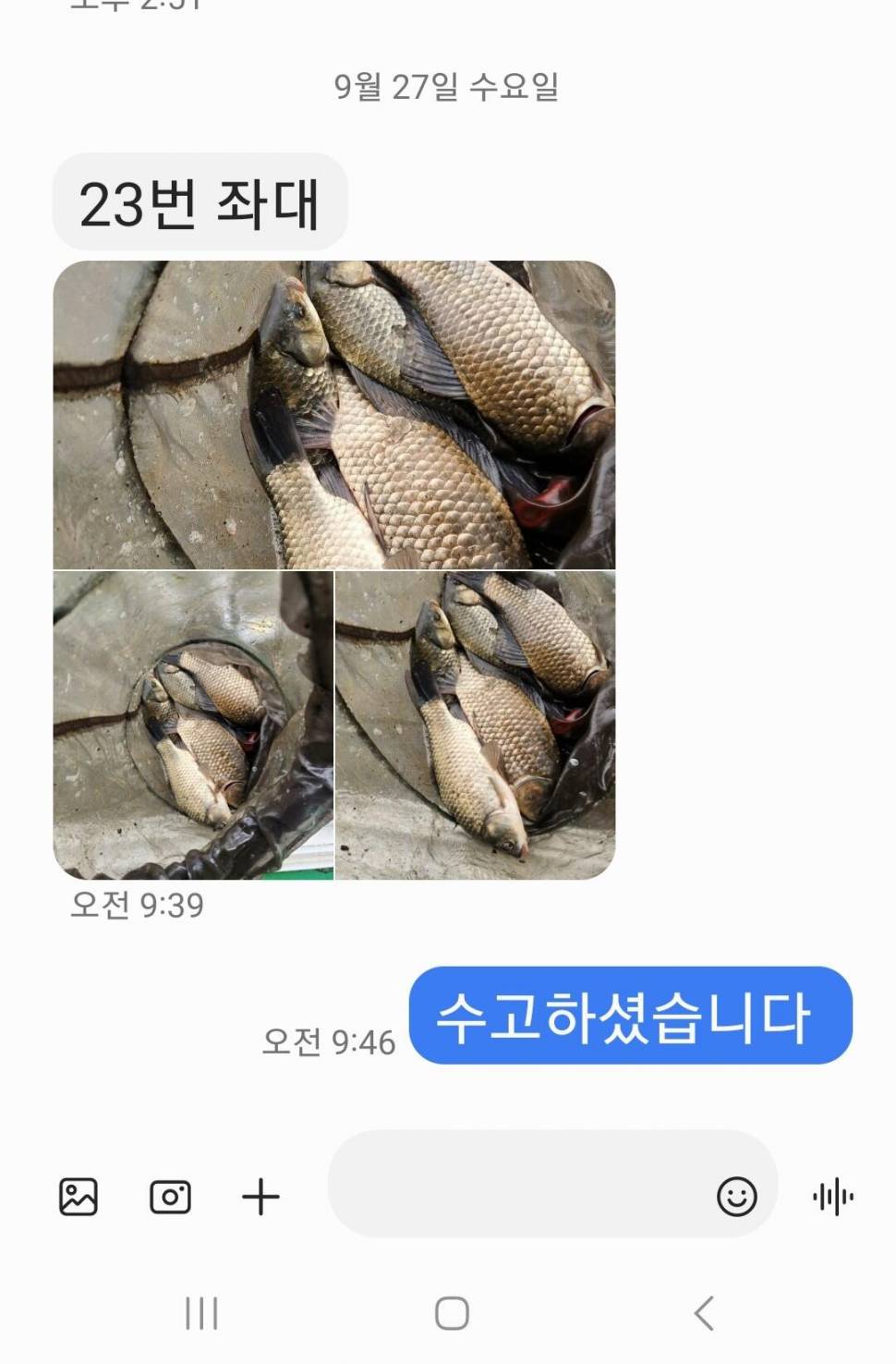 2023년 9월 넷째주 조황정보 용담낚시터사암지 (유료터정보 - 유료터점주조황)