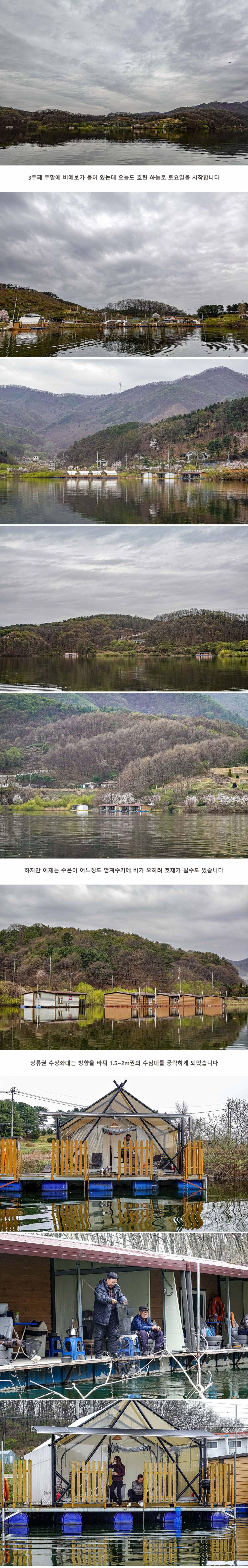 안성 두메낚시터 4월 3일 조황정보 (유료터정보 - 유료터점주조황)
