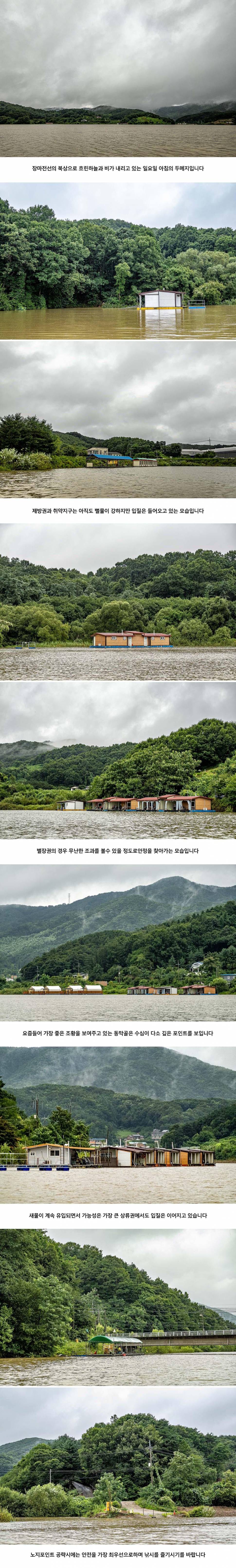 안성 두메낚시터 8월 9일 조황정보 (유료터정보 - 유료터점주조황)