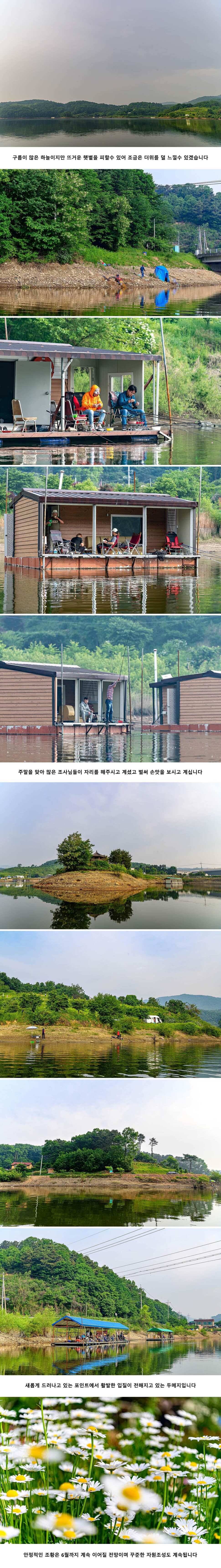 안성 두메낚시터 5월 25일 조황정보 (유료터정보 - 유료터점주조황)