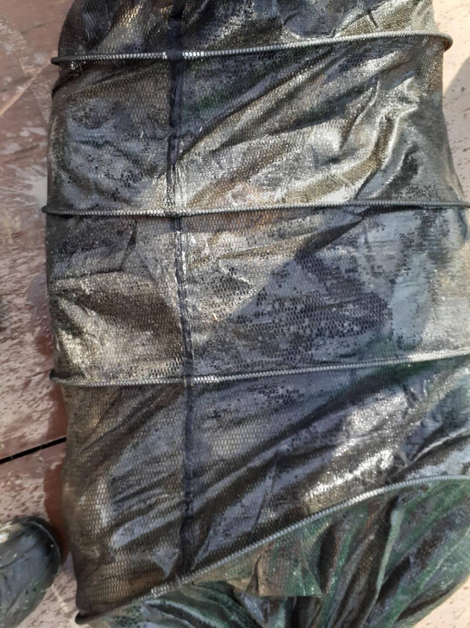 경주동산낚시터붕어 전용잡이터지난주 조황 (유료터정보 - 유료터점주조황)