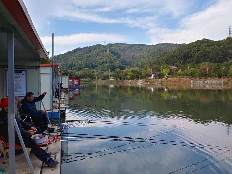 양평 수곡낚시터 오늘 붕어조황 씨알도 마릿수도 더 좋네요 10월10일 금일 붕어 방류 완료했습니다 (유료터정보 - 유료터점주조황)