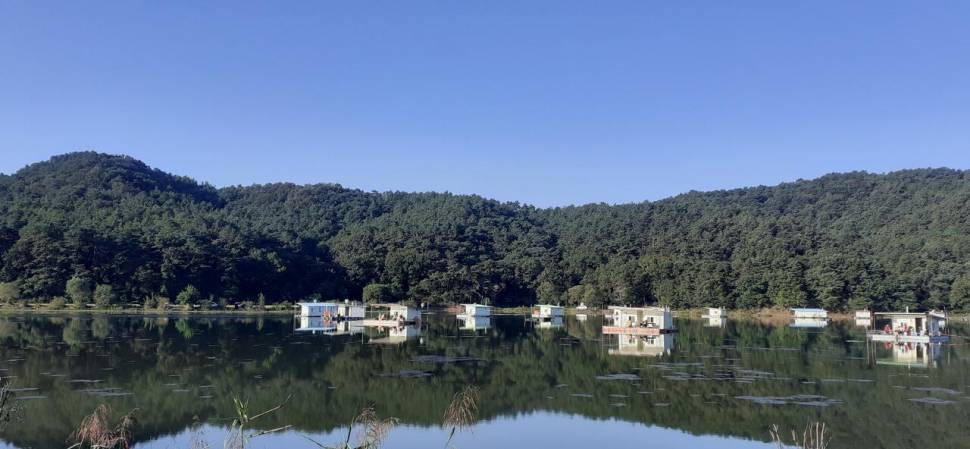 기온차가 심해요 (유료터정보 - 유료터점주조황)