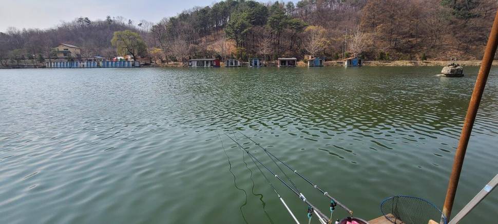 넷째주 주중반 힐링 수곡낚시터 호조황 포함 조과입니다 (유료터정보 - 유료터점주조황)