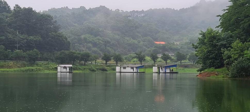 공주 고성낚시터 입니다 (유료터정보 - 유료터점주조황)