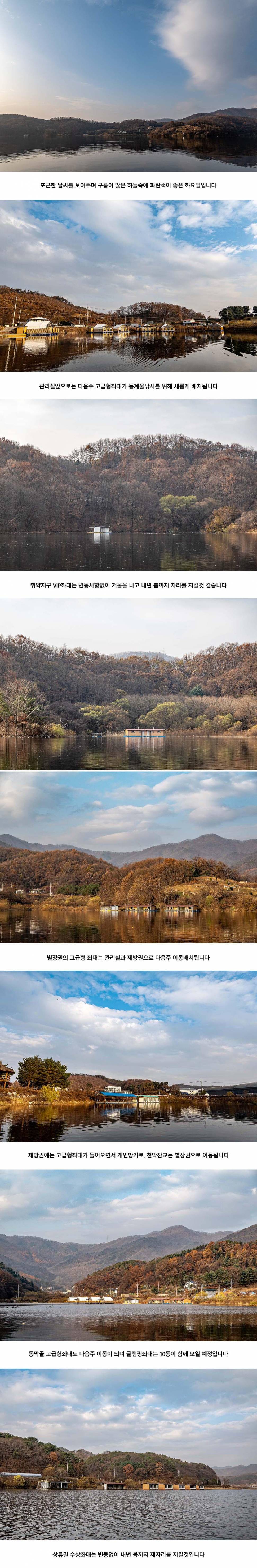 안성 두메낚시터 11월 17일 조황정보 (유료터정보 - 유료터점주조황)