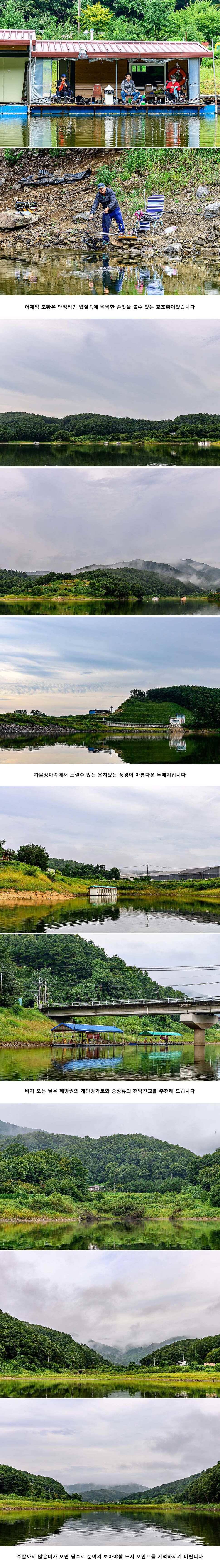 안성 두메낚시터 9월 6일 조황정보 (유료터정보 - 유료터점주조황)