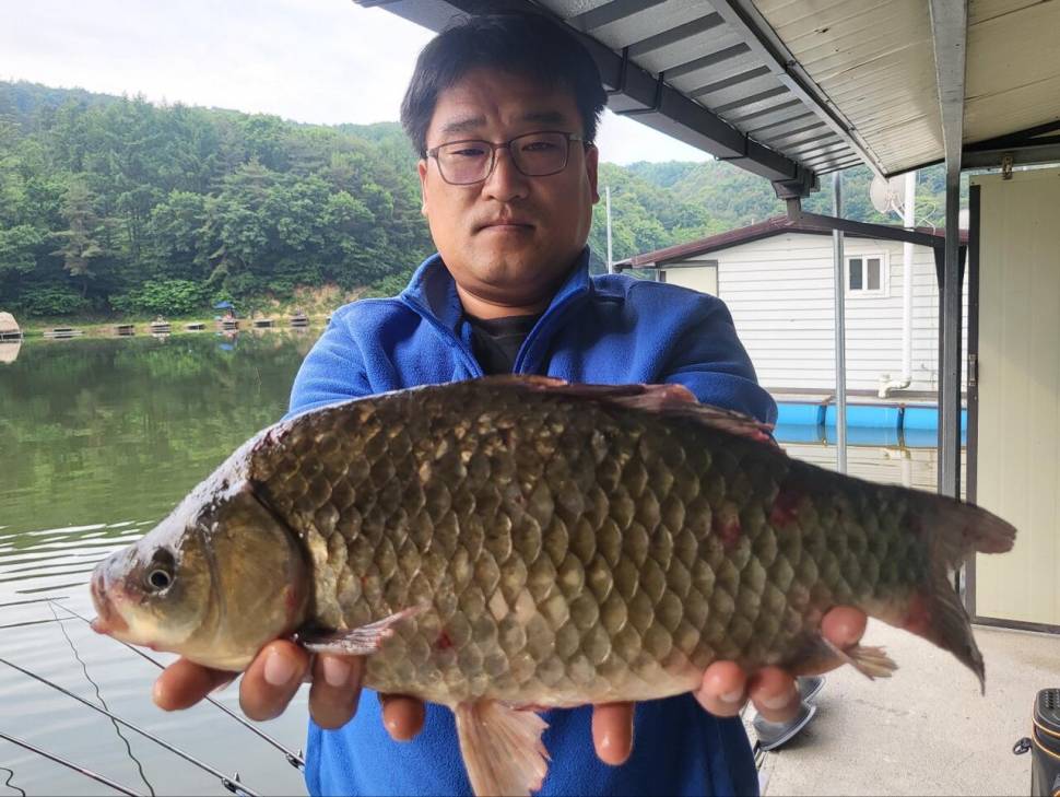 붕어 방류소식과 조황정보 전해드립니다 (유료터정보 - 유료터점주조황)