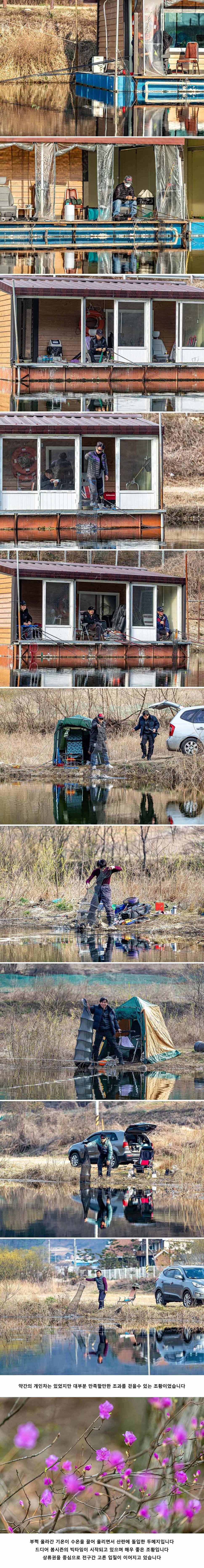 안성 두메낚시터 3월 26일 조황정보 (유료터정보 - 유료터점주조황)
