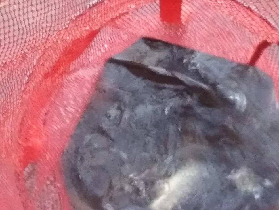 수곡낚시터 수상좌대 할인 행사 실시 자연산 토종붕어 방류 및 조황 안내 (유료터정보 - 유료터점주조황)