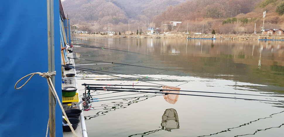 양평 수곡낚시터 3월 첫째주 주중주말 조황 붕어방류 및 수상좌대 할인행사 연장 안내 (유료터정보 - 유료터점주조황)