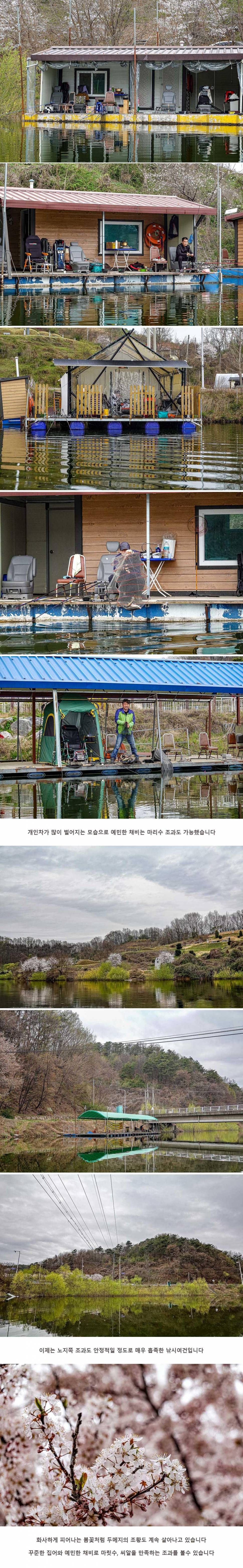 안성 두메낚시터 4월 3일 조황정보 (유료터정보 - 유료터점주조황)