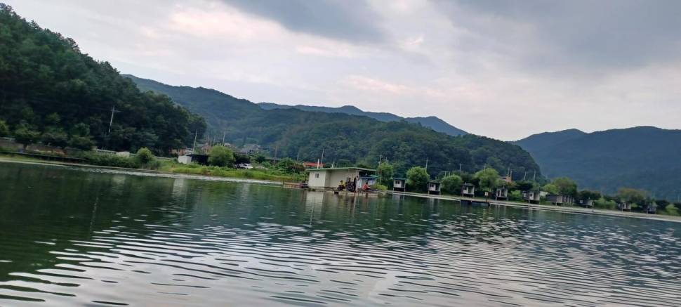 어우실지 주말만석에 감사합니다 하지만 마릿수였네요 봉순이도 휴기중ᆢ (유료터정보 - 유료터점주조황)