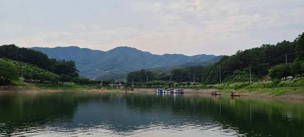 공주 고성낚시터 입니다 (유료터정보 - 유료터점주조황)
