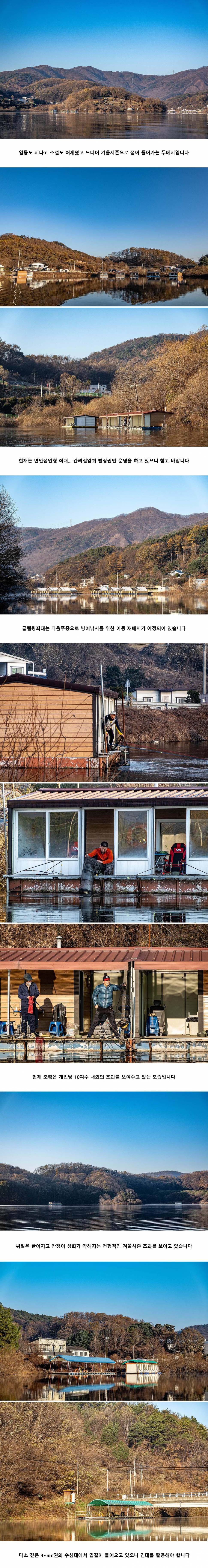 안성 두메낚시터 11월 23일 조황정보 (유료터정보 - 유료터점주조황)